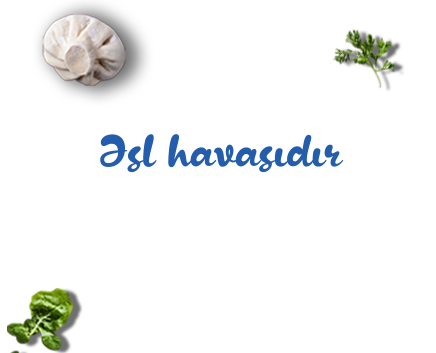 Əsl havasıdır!